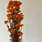 RICE FLOWERS