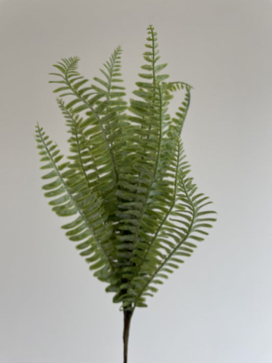 Green Artificial Fern