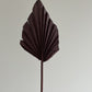 SPEAR PALMS - MINI