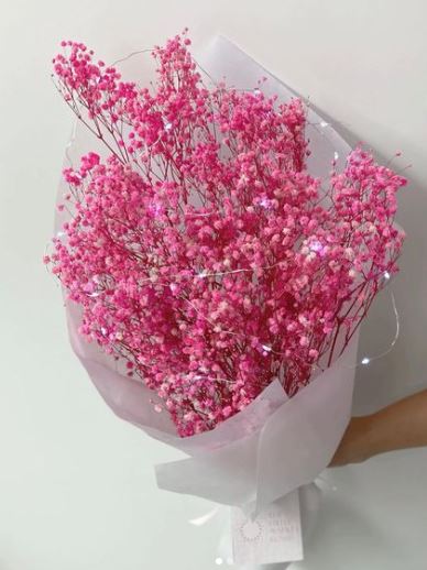 Pink Baby Breath