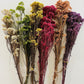 RICE FLOWERS