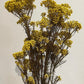 RICE FLOWERS
