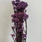 RICE FLOWERS