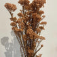 RICE FLOWERS