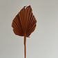 SPEAR PALMS - MINI