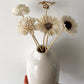 SOLA FLOWERS