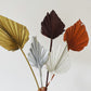 SPEAR PALMS - MINI