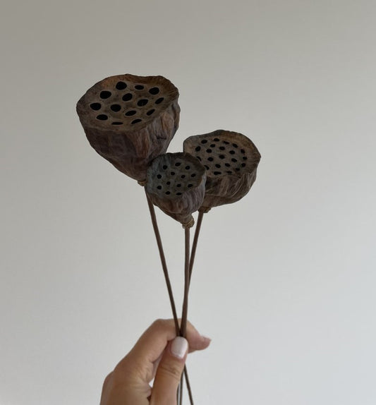 LOTUS PODS