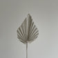 SPEAR PALMS - MINI